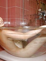 asian girl with big dick